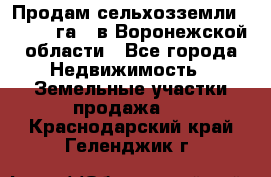 Продам сельхозземли ( 6 000 га ) в Воронежской области - Все города Недвижимость » Земельные участки продажа   . Краснодарский край,Геленджик г.